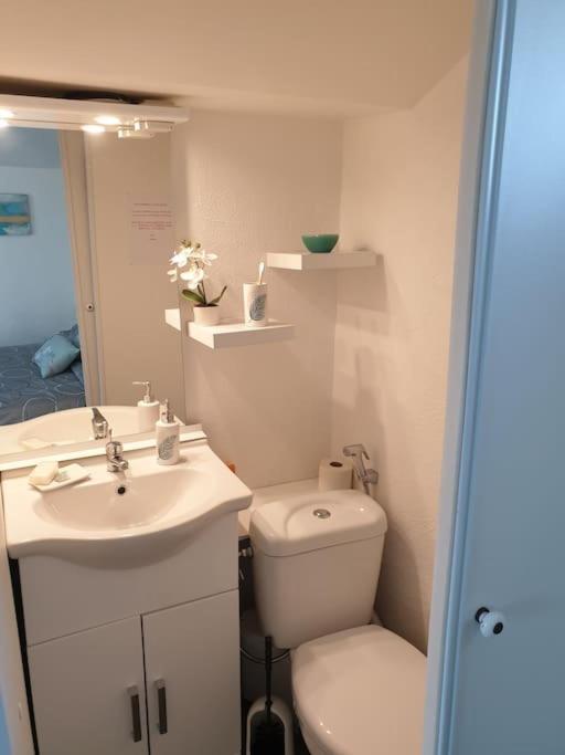Appartement Duplexe De 1 A 4 Chambres Privees Dans Maison Le Teil Exterior foto